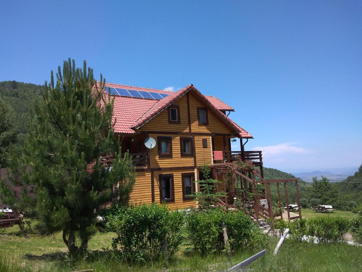 Cabana Soarelui Retezat Nucsoara  Exterior photo